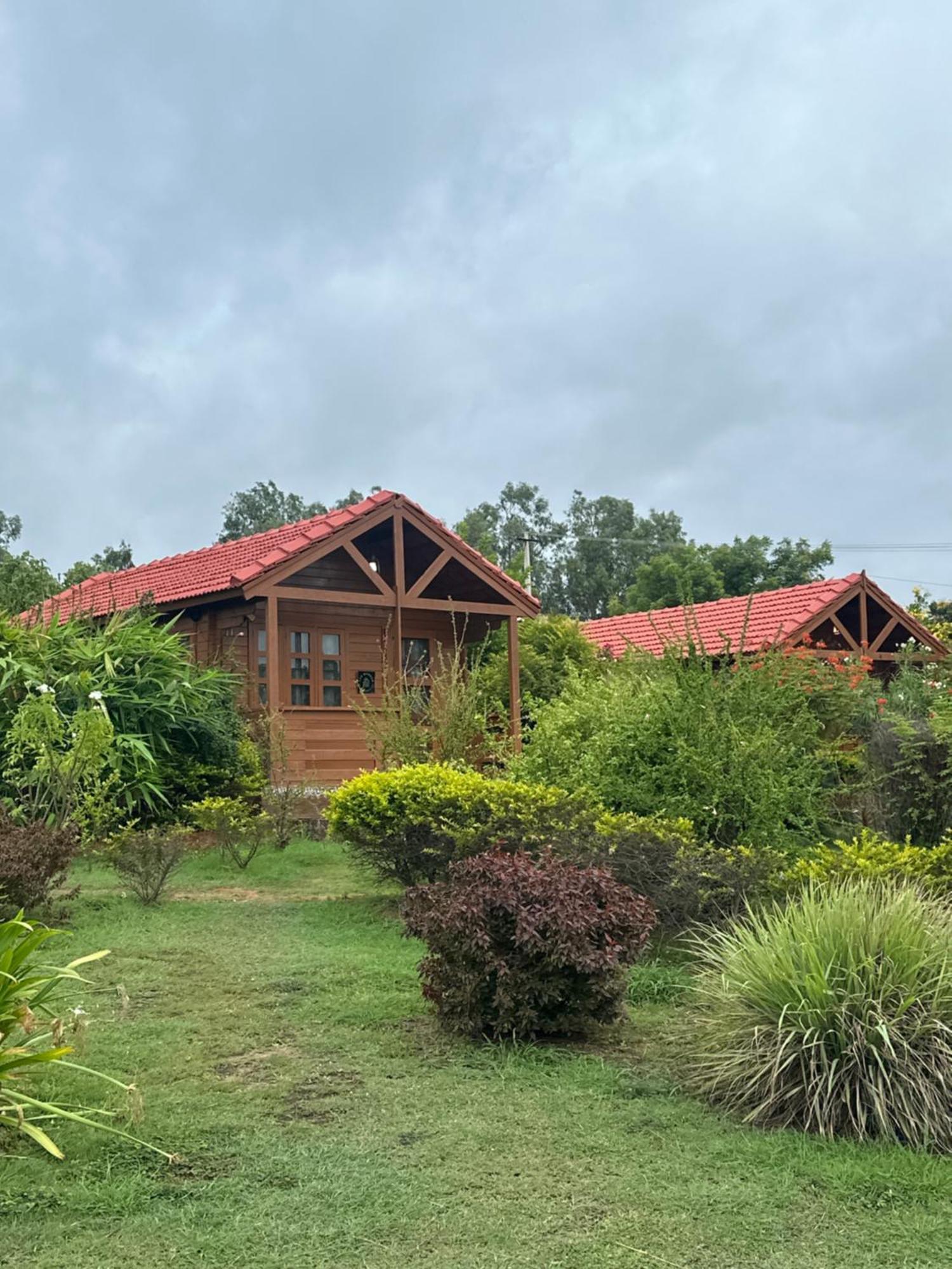 Leo Wooden Resorts Hampi Εξωτερικό φωτογραφία